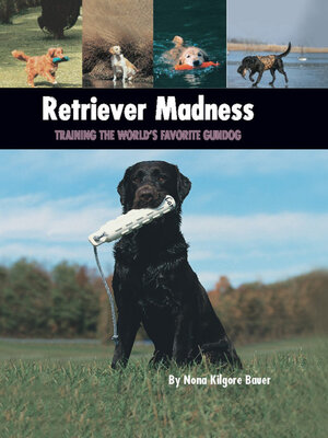 cover image of Retriever Madness